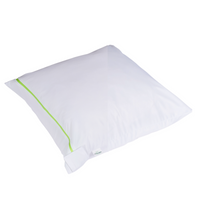 Dust Mite Cushion Protector - Allergy Case