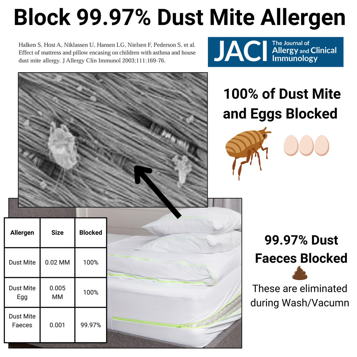 Dust Mite Cushion Protector - Allergy Case