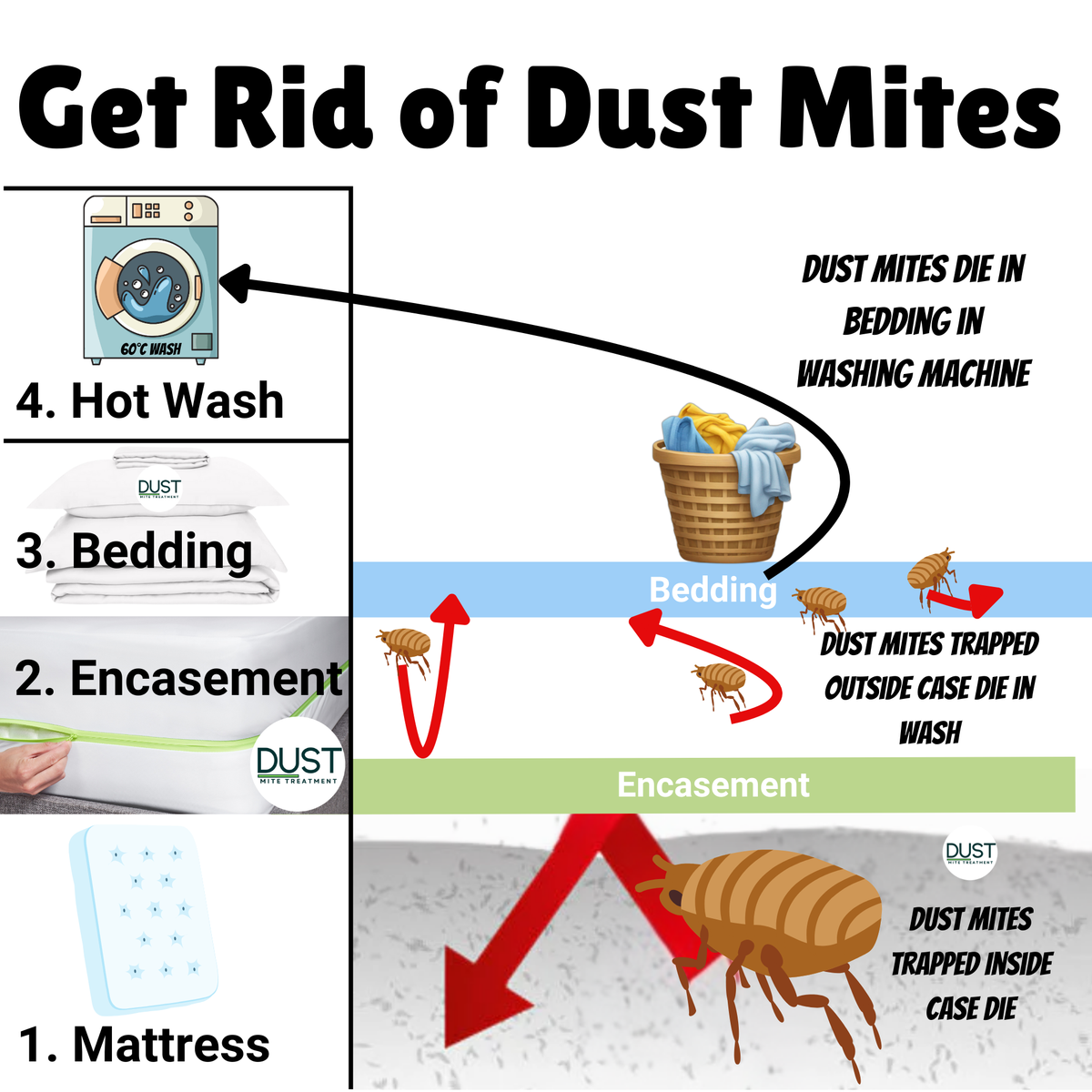 Dust Mite Cushion Protector - Allergy Case