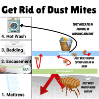 Dust Mite Cushion Protector - Allergy Case