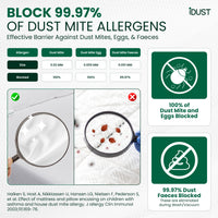 Anti-Allergy Dust Mite Protector Set | Mattress, Pillow & Duvet