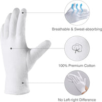 Cotton Gloves, 6 Pairs, Size Large