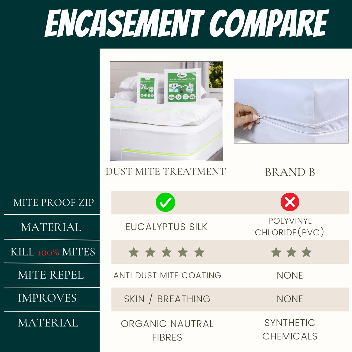 Dust Mite Cushion Protector - Allergy Case