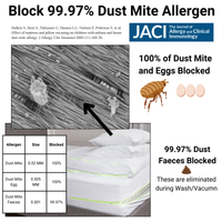 Dust Mite Cushion Protector - Allergy Case