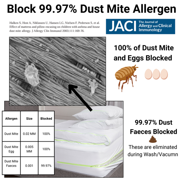 Dust Mite Cushion Protector - Allergy Case
