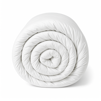 Anti Dust Mite Duvet Inner - Hypoallergenic Allergy Bedding