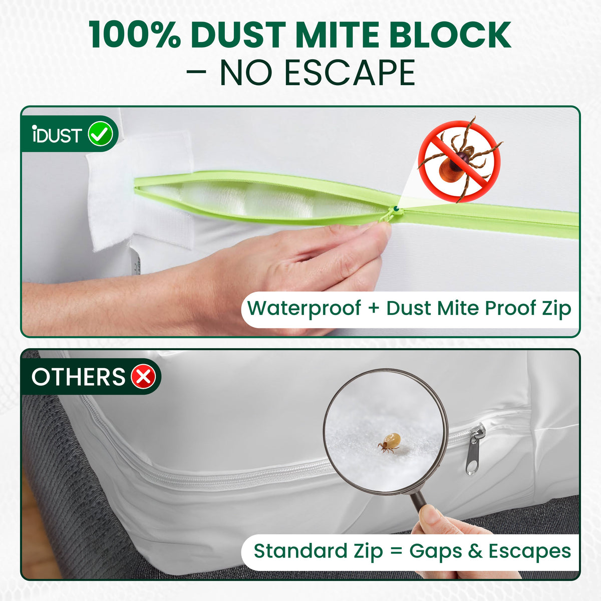 Anti-Allergy Dust Mite Protector Set | Mattress, Pillow & Duvet